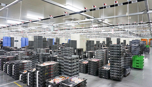 倉庫内品質管理